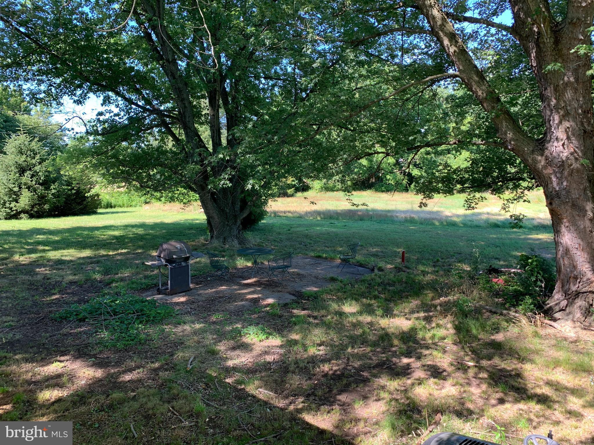 3886 Eastern Neck Road Rock Hall, MD 21661 - Photo 12 of 14 Side Yard
