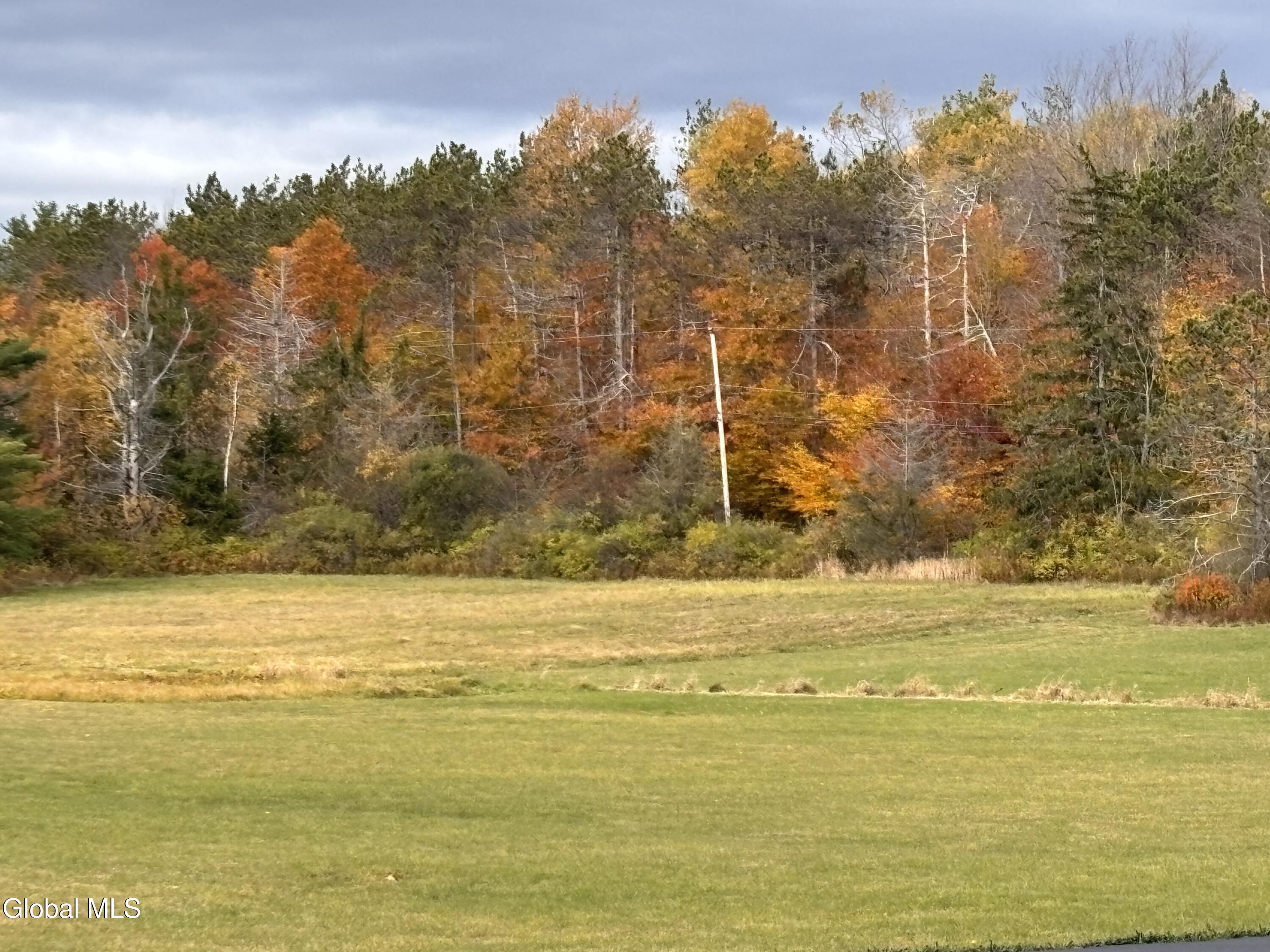 3109 Lake Road Delanson, NY 12053 - Photo 63 of 72 63) 72536-6a22146876921