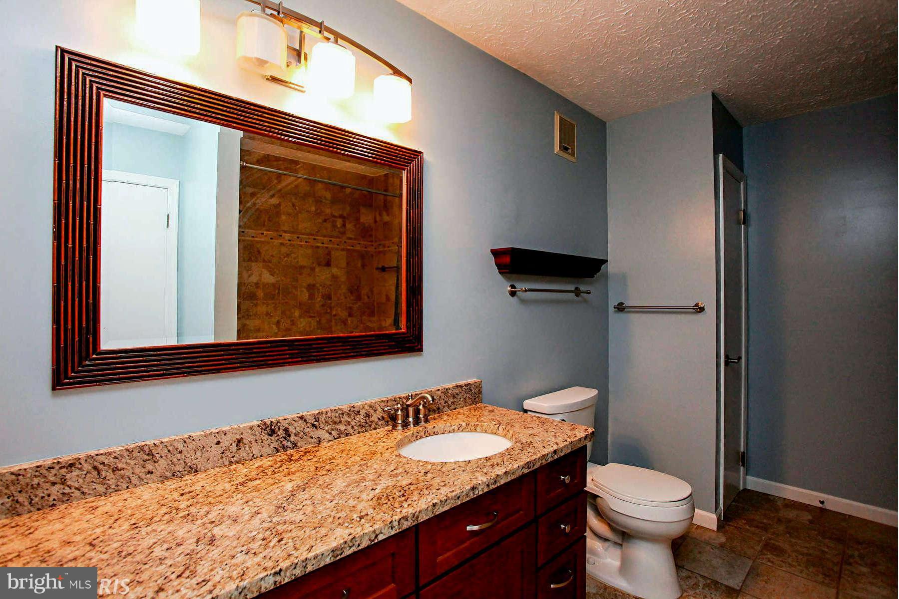 2259 Hunter's Run Drive, Unit 2259 Reston, VA 20191 - Photo 18 of 30 Bath (Master)