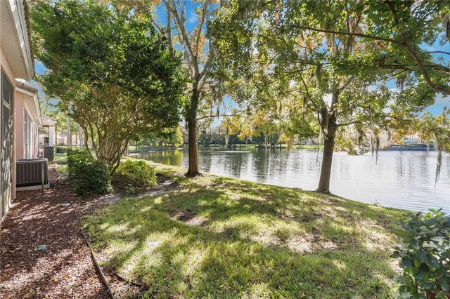 a view of a park with large trees