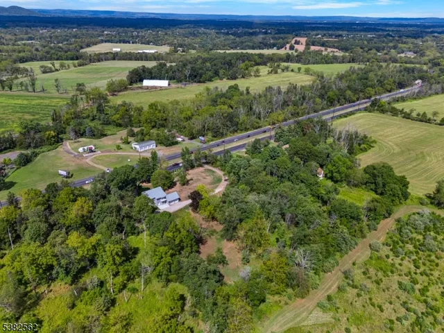 a view of a garden with a lake