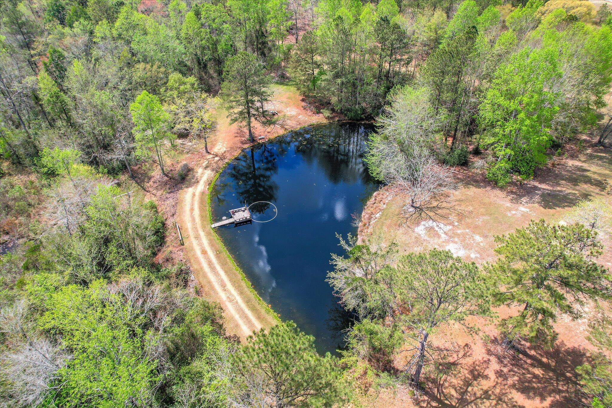 0 Courtney Road Trenton, SC 29847 - Photo 12 of 21 Pond Aerial