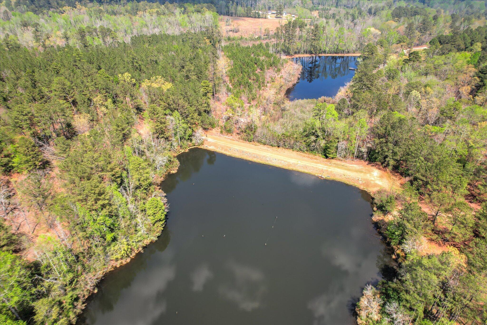 0 Courtney Road Trenton, SC 29847 - Photo 14 of 21 Main Pond Aerial View 2