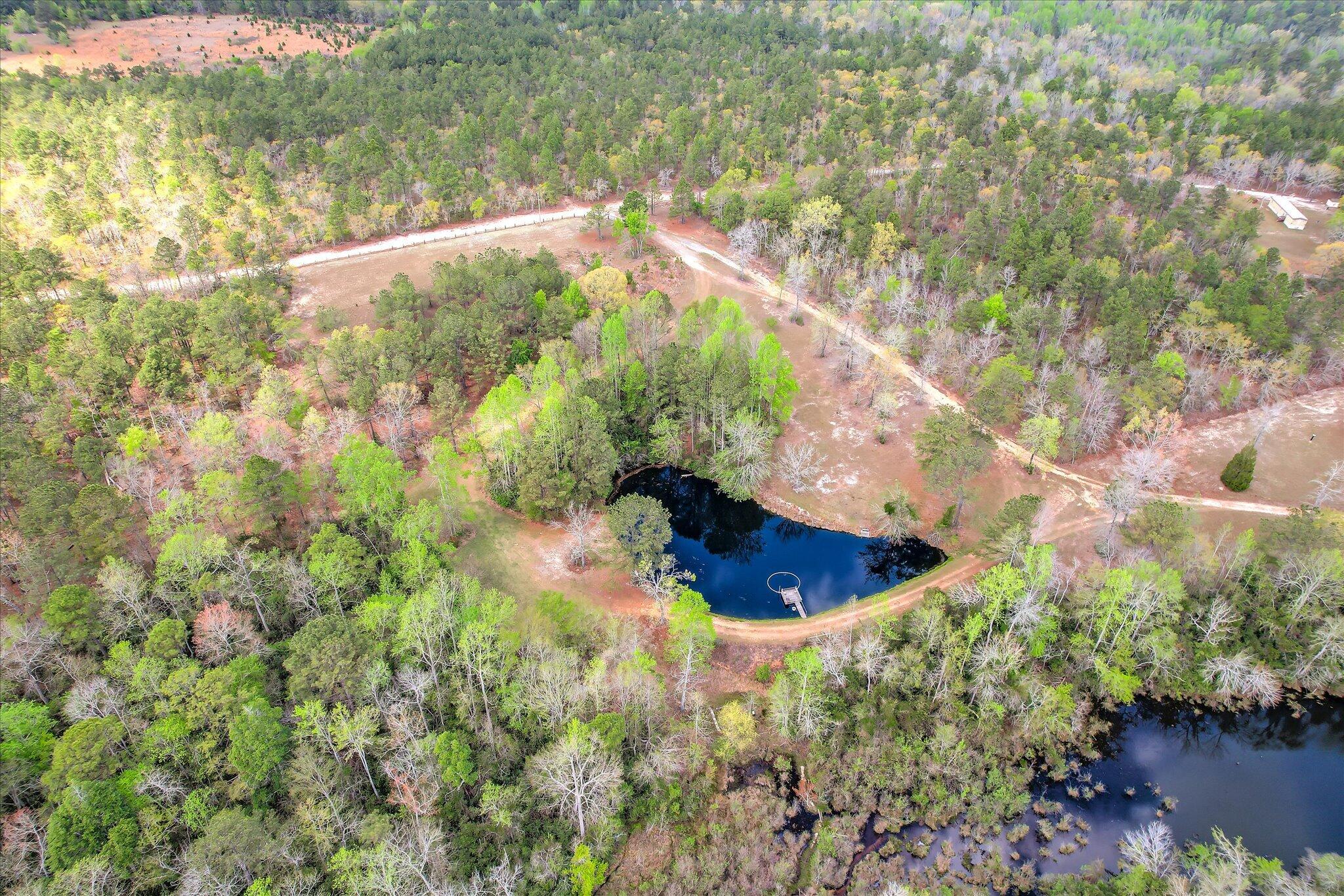 0 Courtney Road Trenton, SC 29847 - Photo 15 of 21 Small Pond
