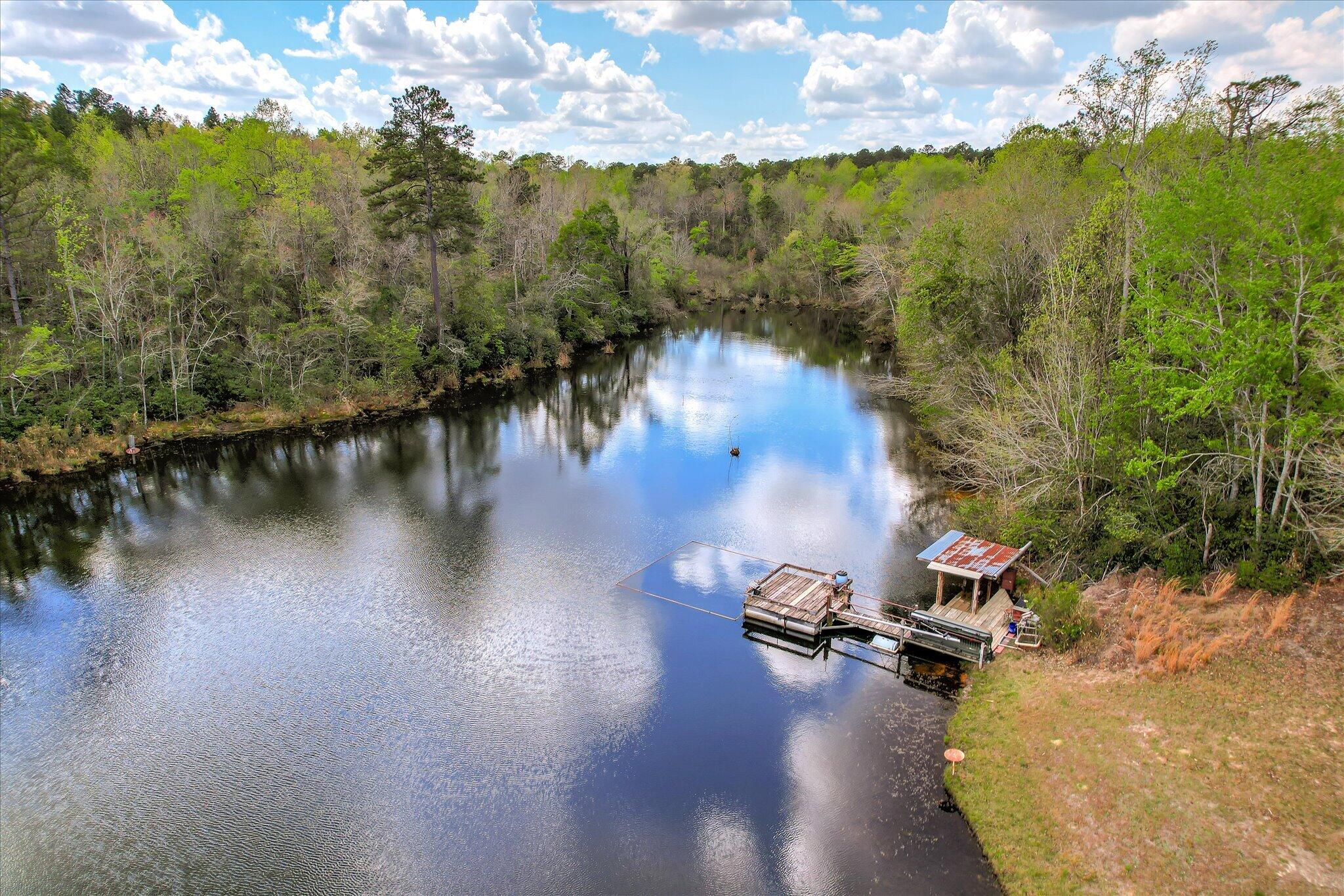 0 Courtney Road Trenton, SC 29847 - Photo 16 of 21 Main Pond