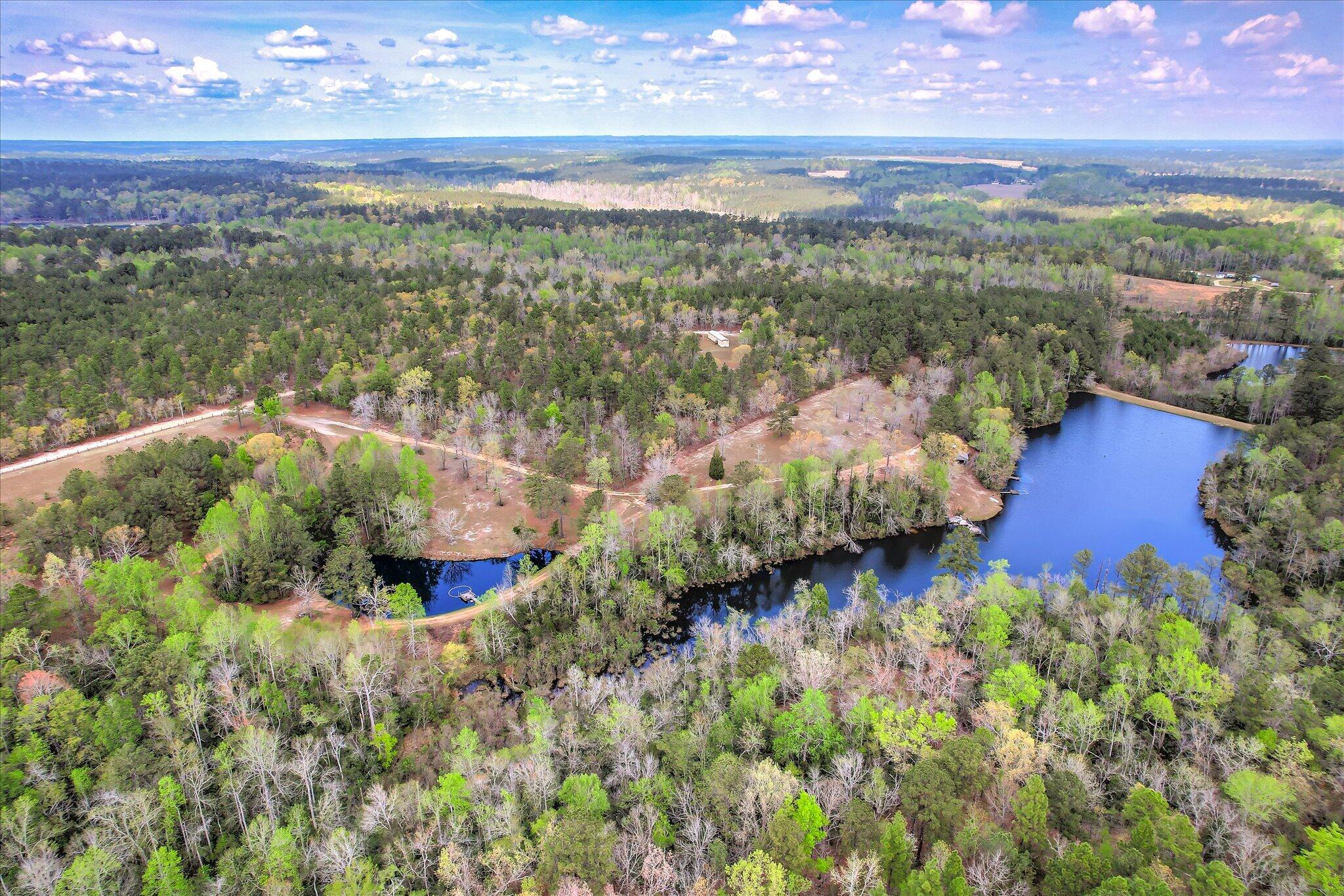 0 Courtney Road Trenton, SC 29847 - Photo 20 of 21 Aerial of Both Ponds