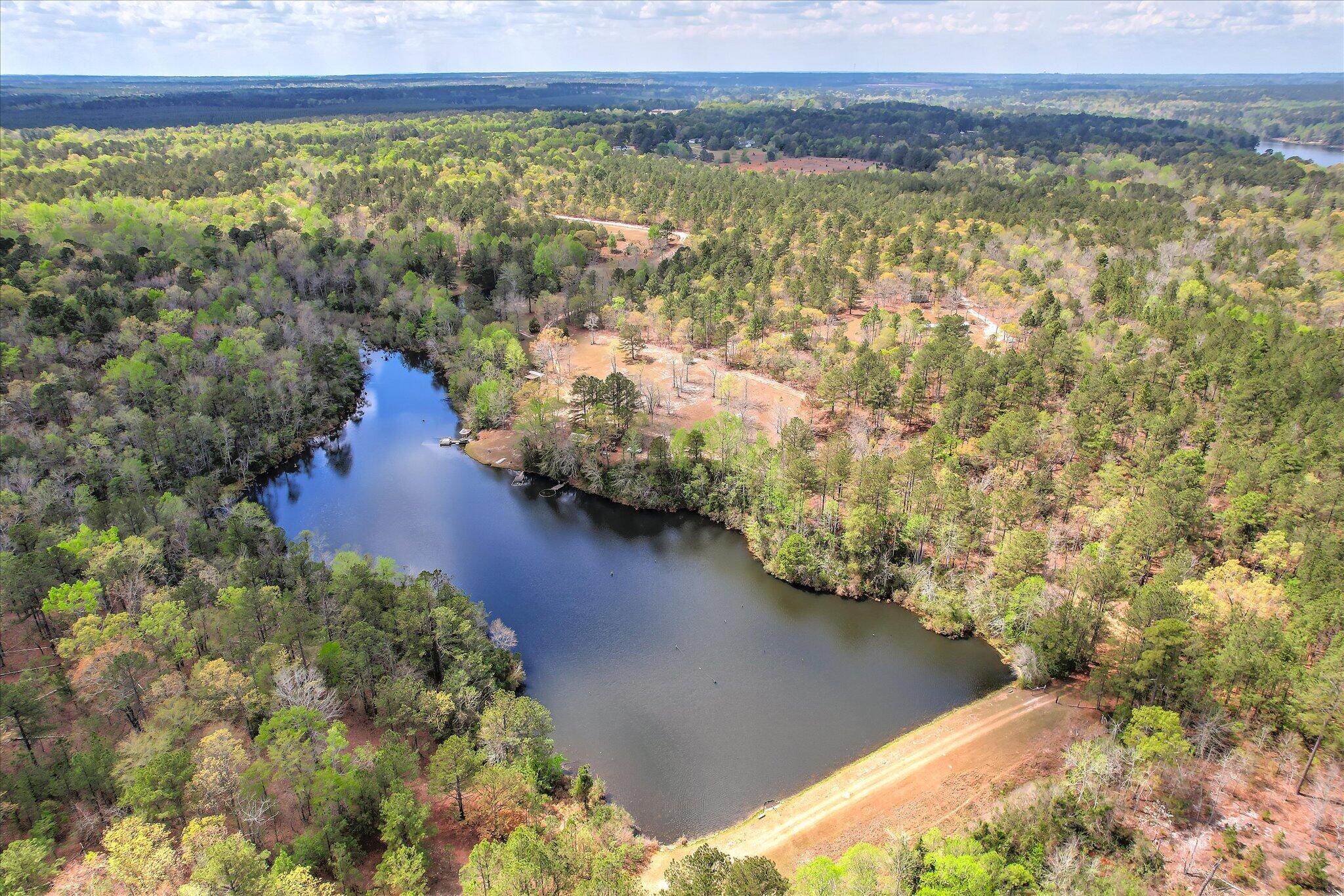 0 Courtney Road Trenton, SC 29847 - Photo 21 of 21 Main Pond Aerial 2