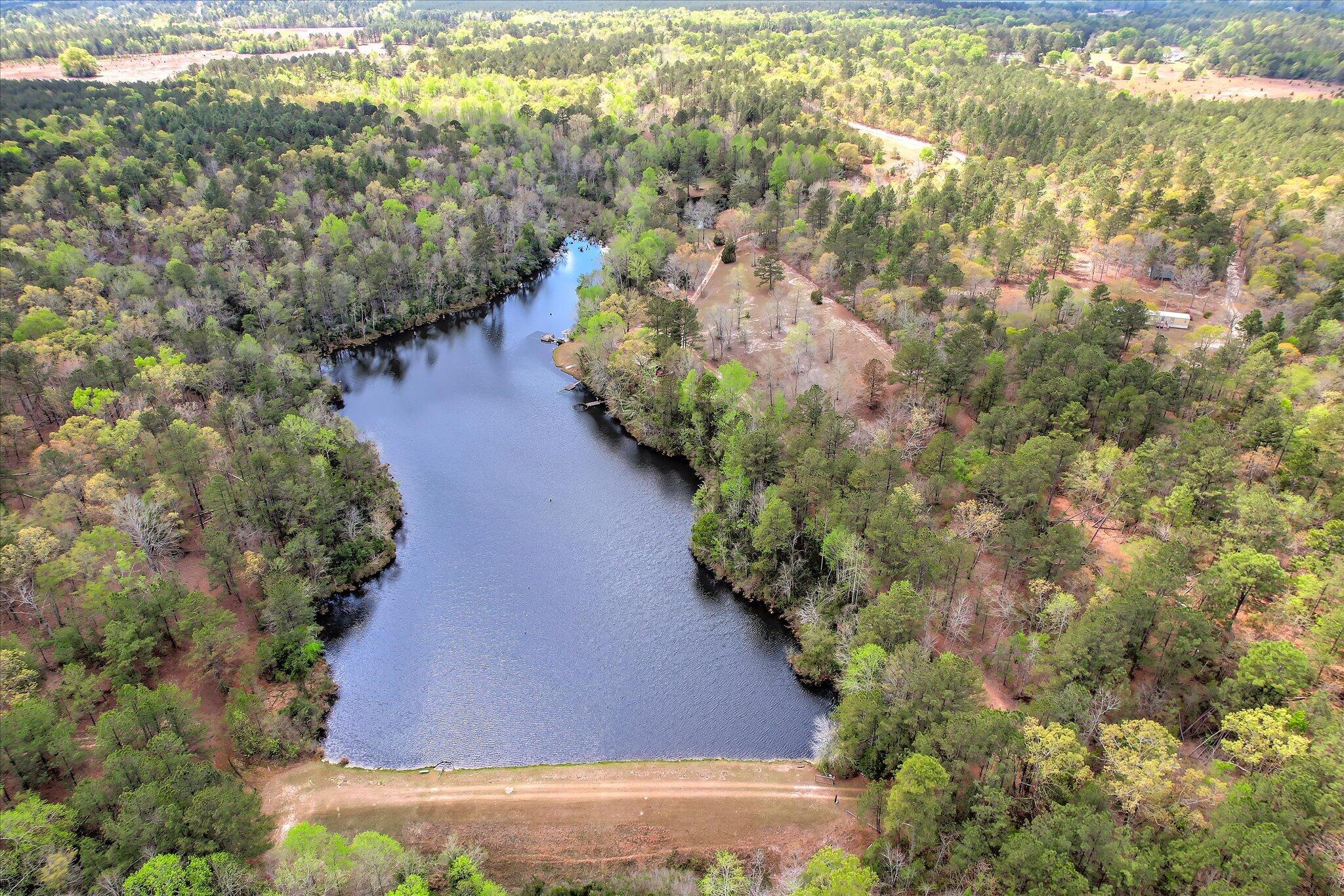 0 Courtney Road Trenton, SC 29847 - Photo 7 of 21 Main Pond Dam View
