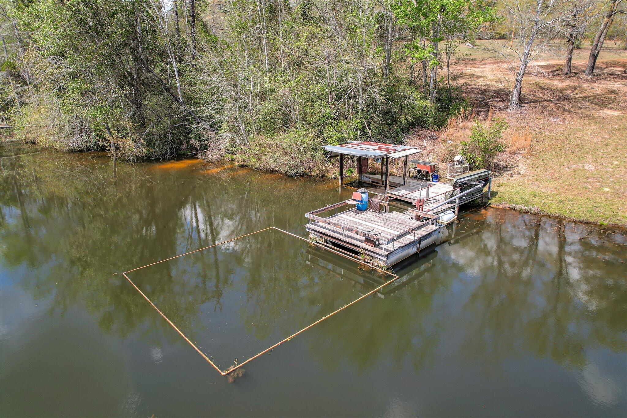 0 Courtney Road Trenton, SC 29847 - Photo 9 of 21 Main Pond Dock 1