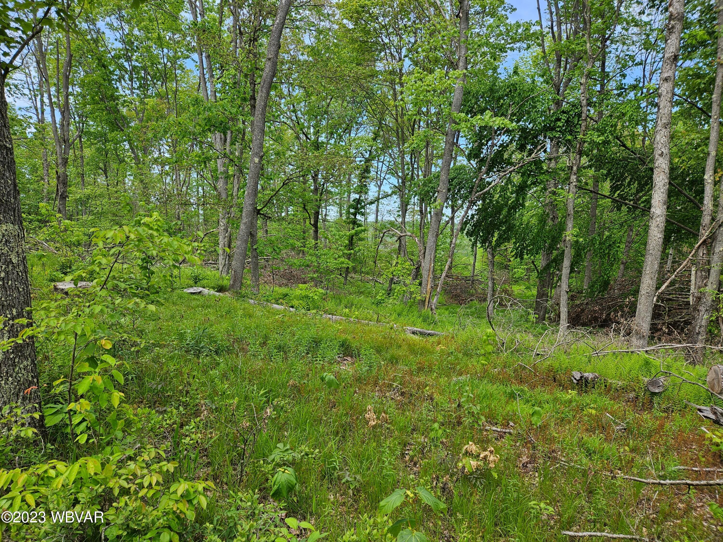 Shintown Road Renovo, PA 17764 - Photo 2 of 16 Gallery Image 2