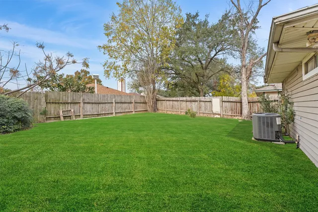 a view of a yard with a large tree