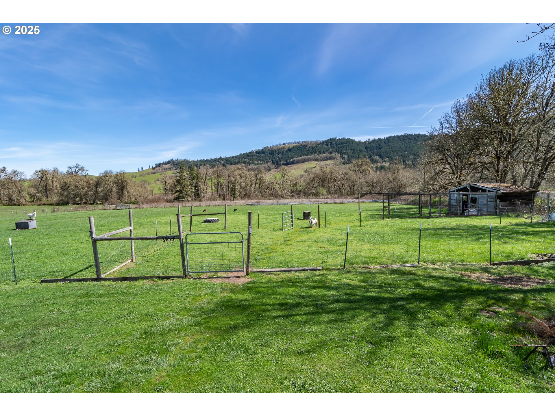 5197 Green Valley Road Oakland, OR 97462 - Photo 34 of 46 Gallery Image 34