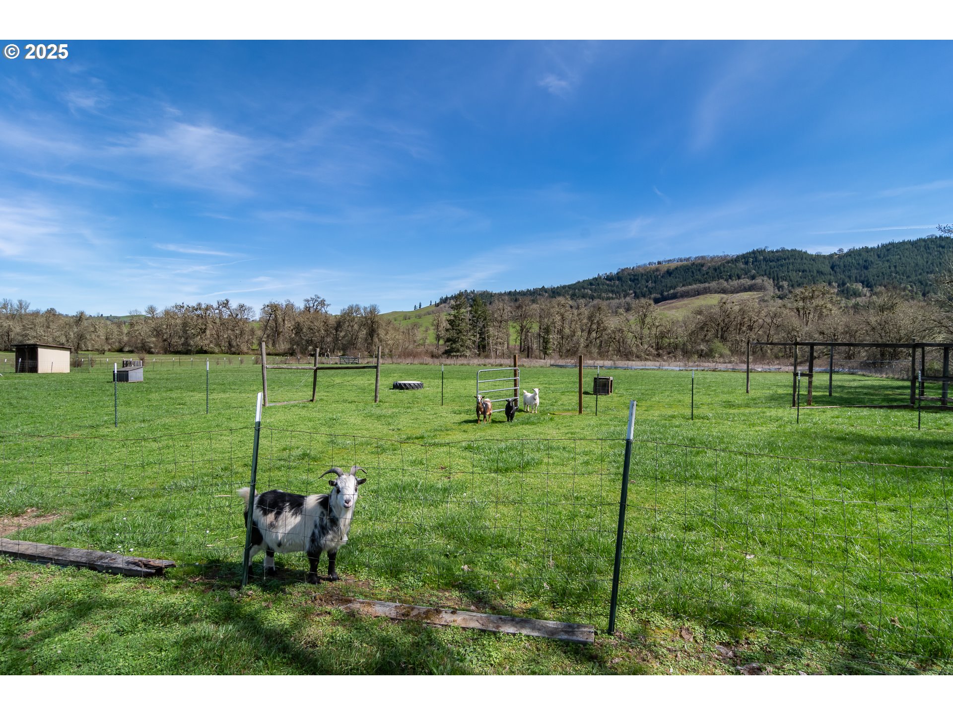 5197 Green Valley Road Oakland, OR 97462 - Photo 36 of 46 Gallery Image 36