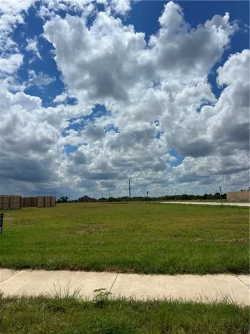 a view of a big yard