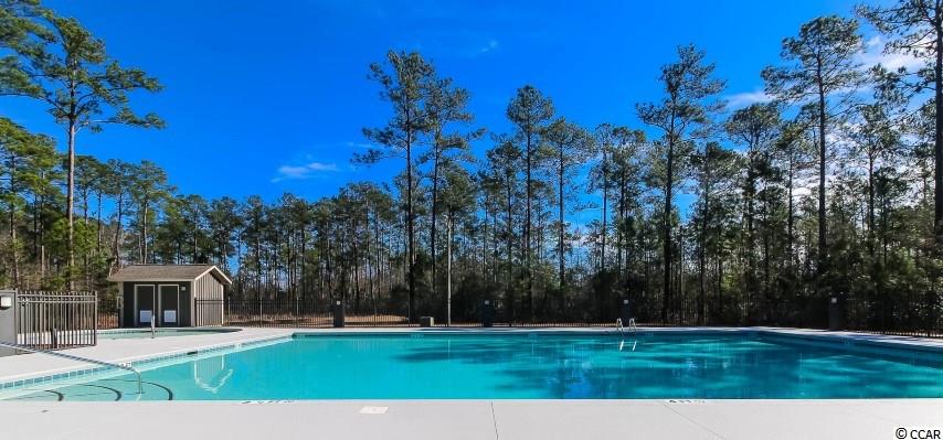 351 Simplicity Drive Murrells Inlet, SC 29576 - Photo 25 of 25