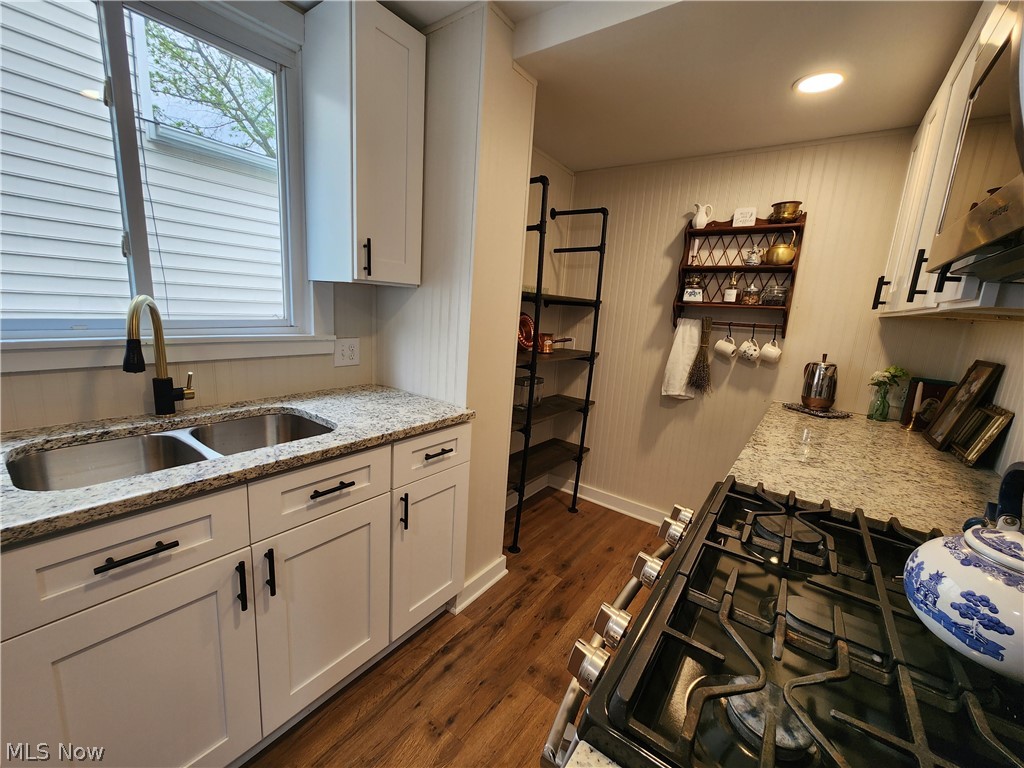 698 Patterson Avenue Akron, OH 44310 - Photo 10 of 20 A view of the sink and built in pantry shelves