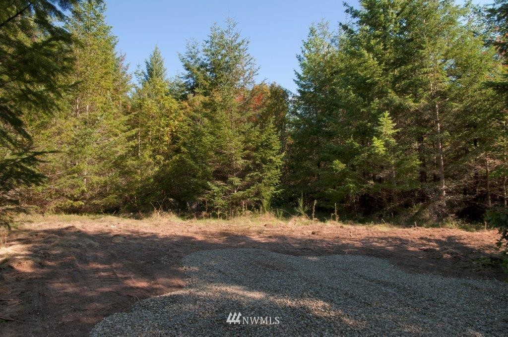 -xxx Cape George Road Port Townsend, WA 98368 - Photo 5 of 11 Gallery Image 5