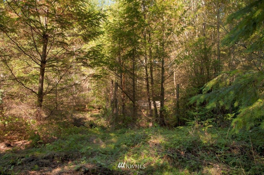 -xxx Cape George Road Port Townsend, WA 98368 - Photo 10 of 11 Gallery Image 10