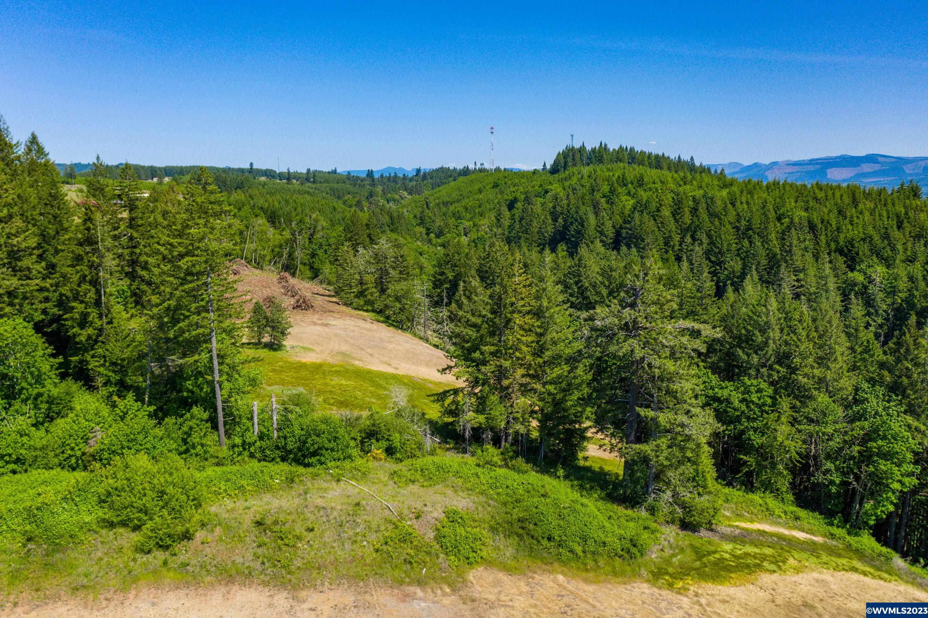 Marks Ridge Sweet Home, OR 97386 - Photo 16 of 32