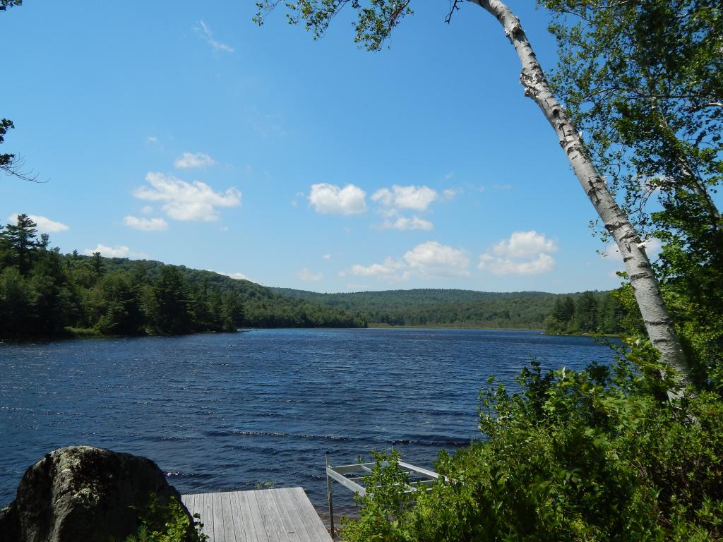 696 Halfmoon Pond Road Washington, NH 03280 - Photo 1 of 27 Gallery Image 1