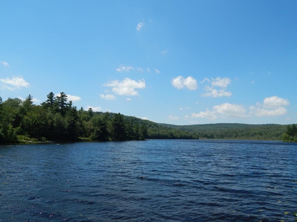 696 Halfmoon Pond Road Washington, NH 03280 - Photo 3 of 27 Gallery Image 3