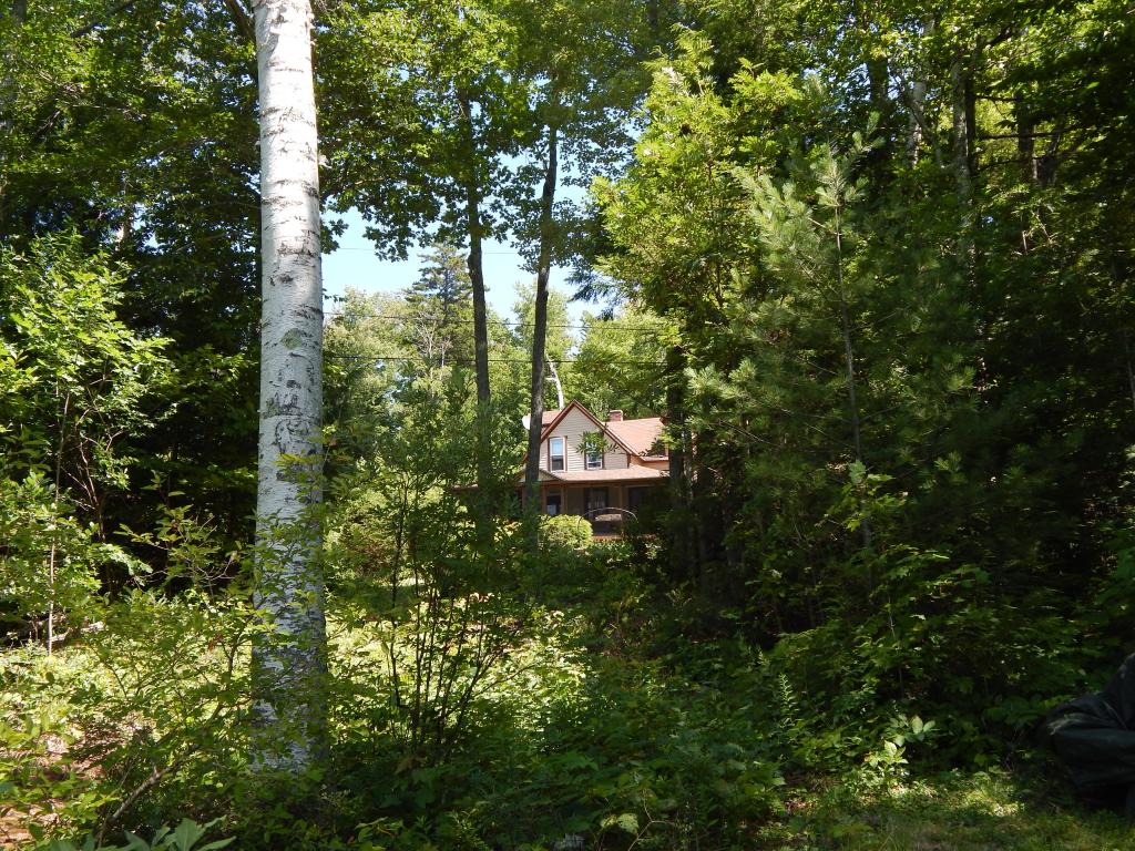 696 Halfmoon Pond Road Washington, NH 03280 - Photo 21 of 27 Gallery Image 21