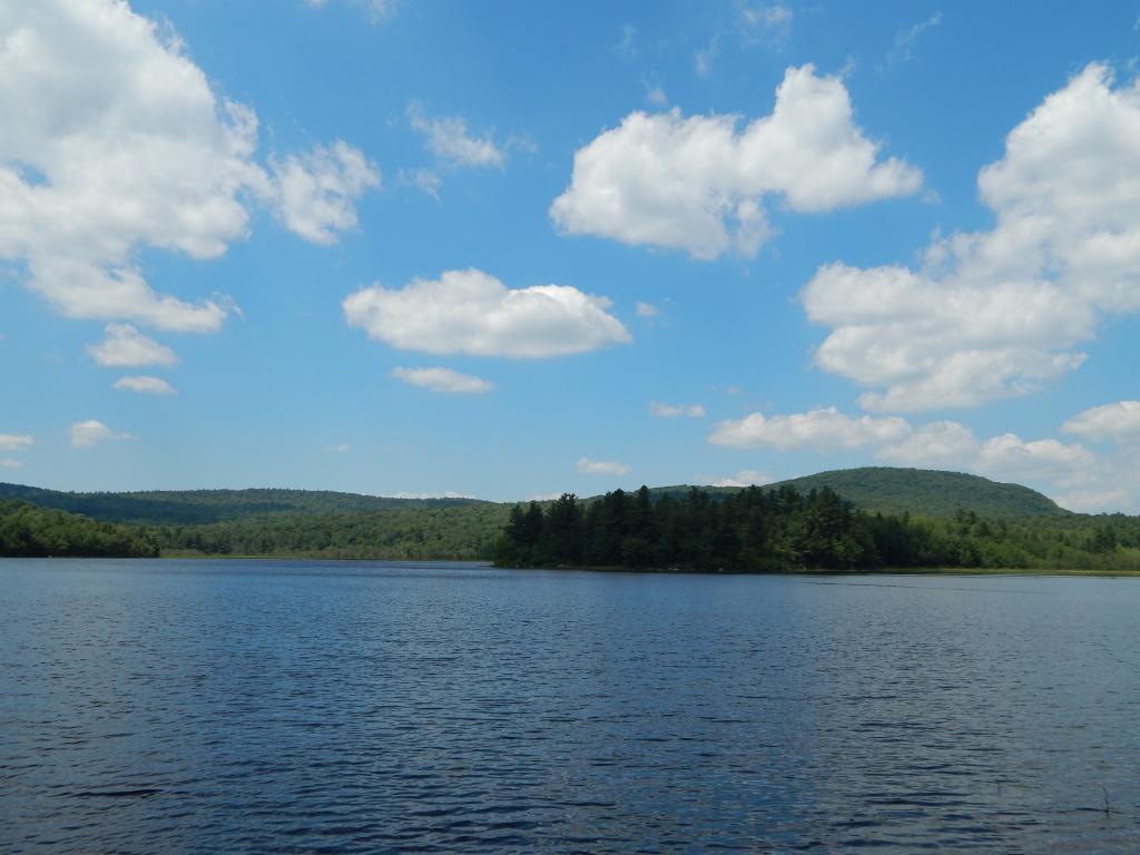696 Halfmoon Pond Road Washington, NH 03280 - Photo 24 of 27 Gallery Image 24