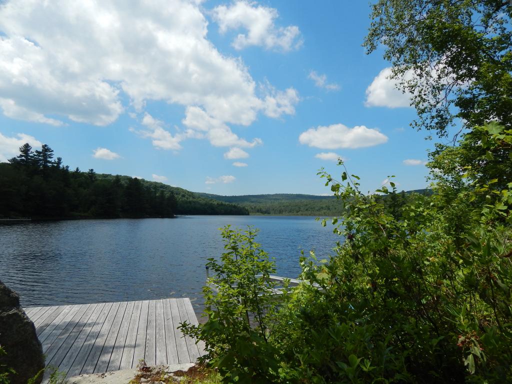 696 Halfmoon Pond Road Washington, NH 03280 - Photo 25 of 27 Gallery Image 25