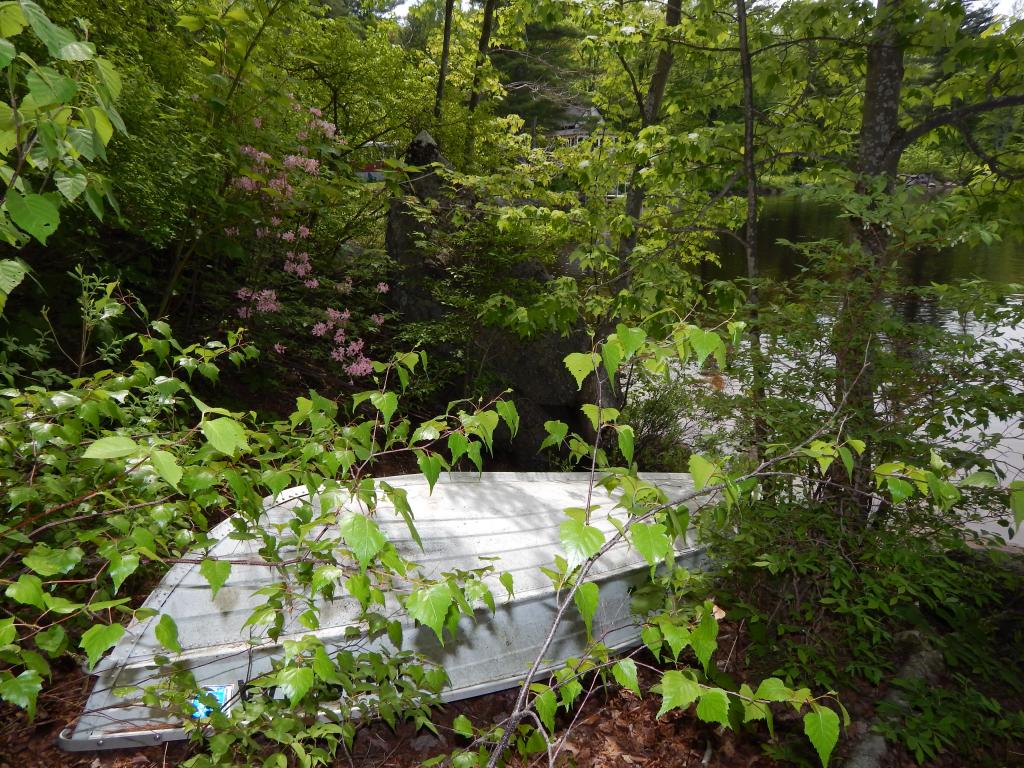 696 Halfmoon Pond Road Washington, NH 03280 - Photo 26 of 27 Gallery Image 26