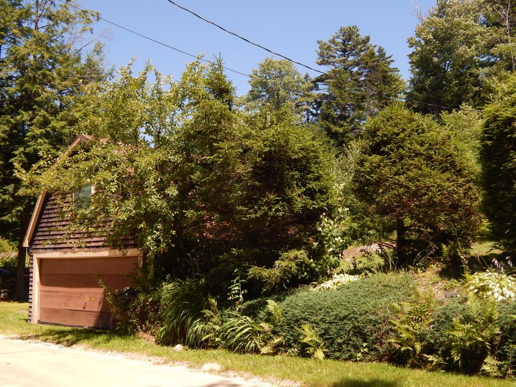 696 Halfmoon Pond Road Washington, NH 03280 - Photo 27 of 27 Gallery Image 27