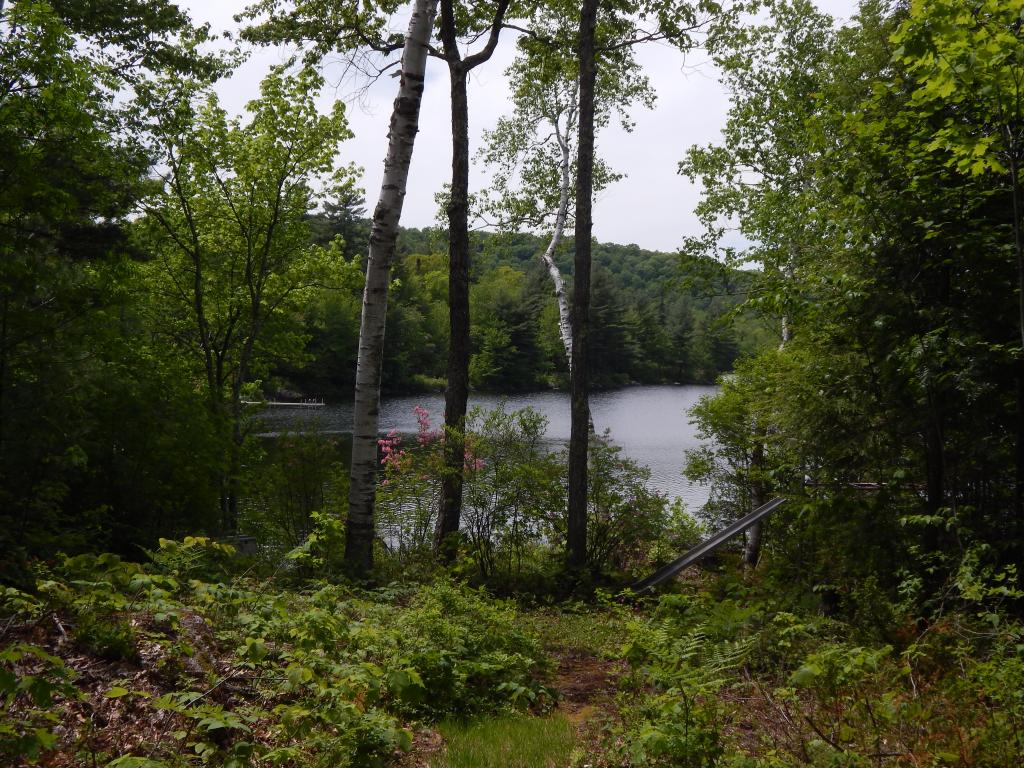 696 Halfmoon Pond Road Washington, NH 03280 - Photo 5 of 27 Gallery Image 5