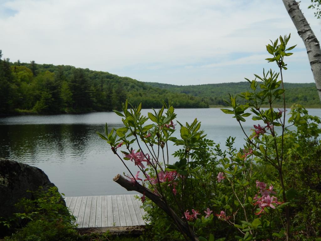 696 Halfmoon Pond Road Washington, NH 03280 - Photo 9 of 27 Gallery Image 9