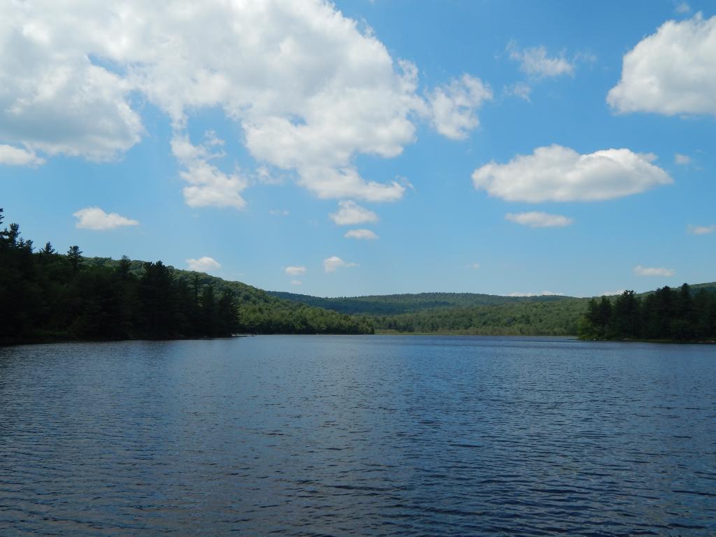 696 Halfmoon Pond Road Washington, NH 03280 - Photo 10 of 27 Gallery Image 10