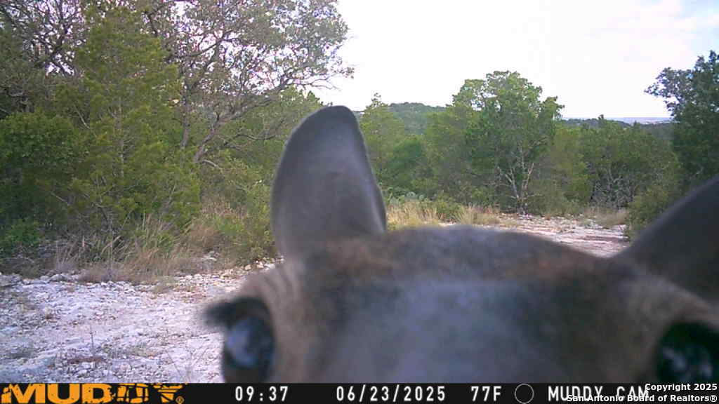 635 Rocksprings Tx 78880 Rocksprings, TX 78880 - Photo 14 of 17 a view of a yard in a back yard