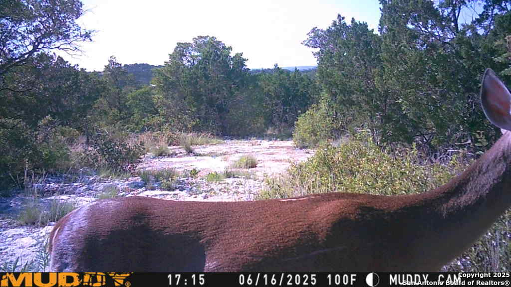 635 Rocksprings Tx 78880 Rocksprings, TX 78880 - Photo 16 of 17 a view of a yard with mountain view