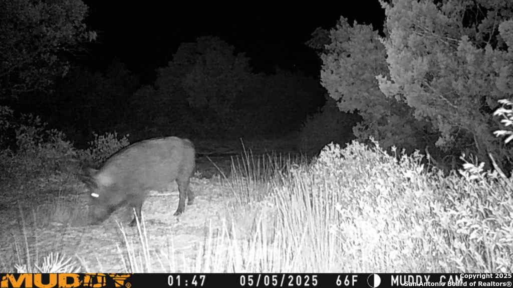 635 Rocksprings Tx 78880 Rocksprings, TX 78880 - Photo 17 of 17 a view of outdoor space