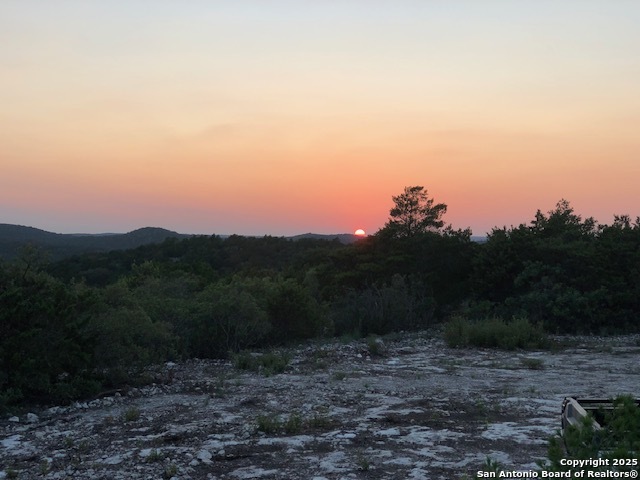 635 Rocksprings Tx 78880 Rocksprings, TX 78880 - Photo 3 of 17 a view of a yard with a tree