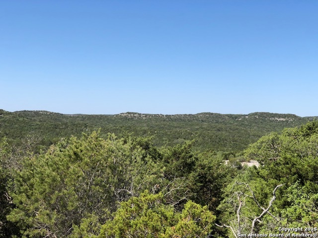635 Rocksprings Tx 78880 Rocksprings, TX 78880 - Photo 5 of 17 a view of a mountain range with a lush green forest
