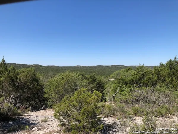 a view of a mountain range with trees in the background