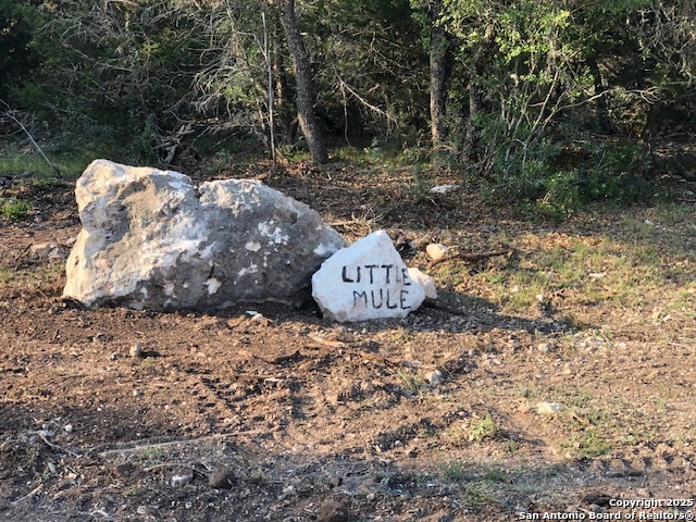 635 Rocksprings Tx 78880 Rocksprings, TX 78880 - Photo 8 of 17 a backyard of a house with lots of green space