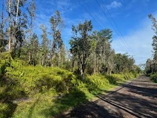 335 Forest Road Pahoa, HI 96778 - Photo 1 of 6 Gallery Image 1
