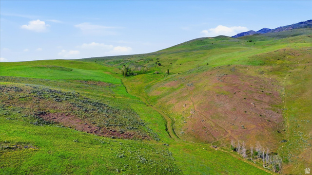 2075 Canyon Road Smithfield, UT 84335 - Photo 11 of 18 Expansive rolling hills with varied green and brown vegetation, featuring a natural ravine and distant mountains under a blue sky