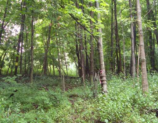Land/Lot. 