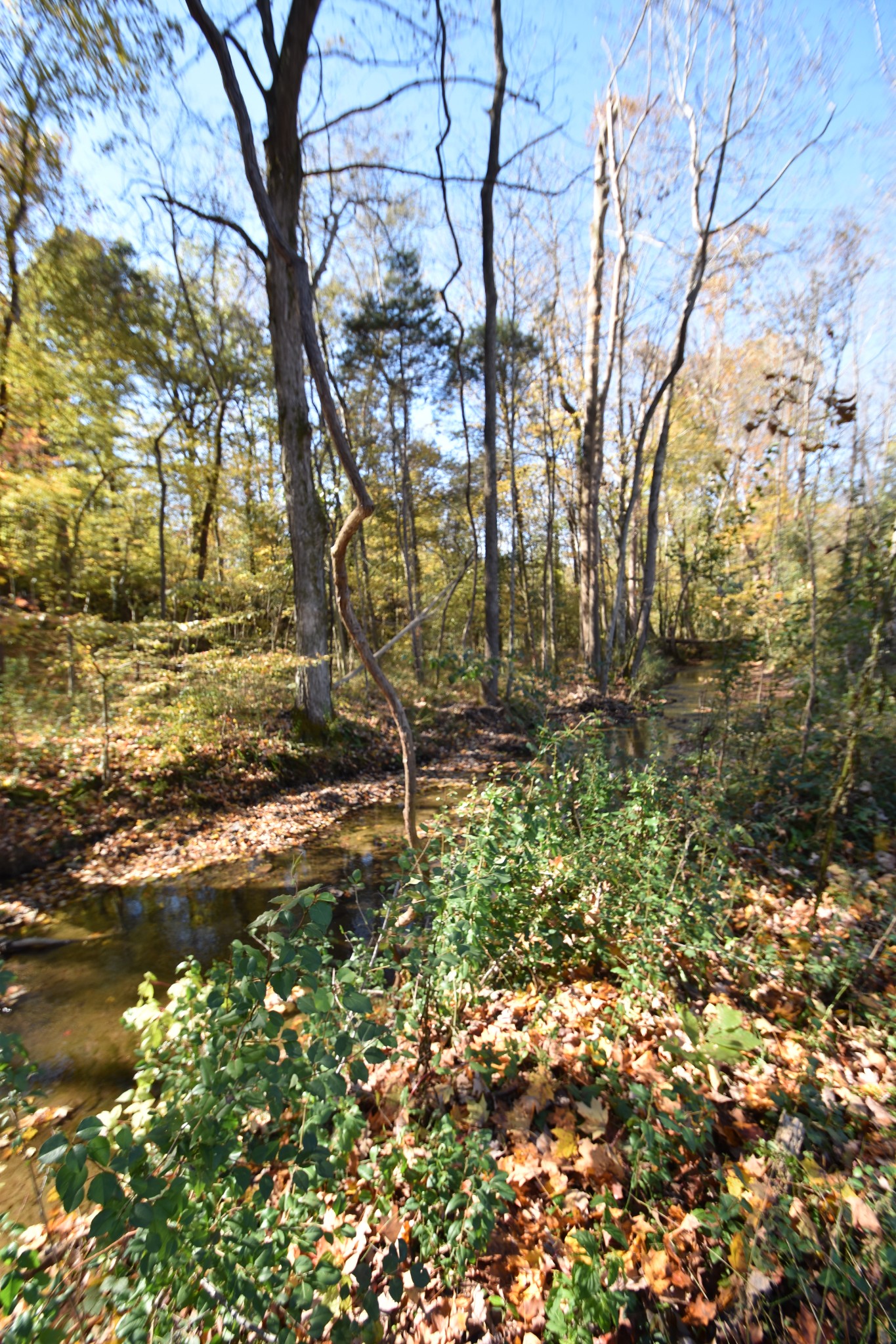 6819 Highway 76 Springfield, TN 37172 - Photo 8 of 16 Gallery Image 8