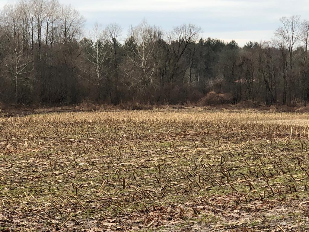 0 Teepleville Flats Road Cambridge Springs, PA 16403 - Photo 1 of 2