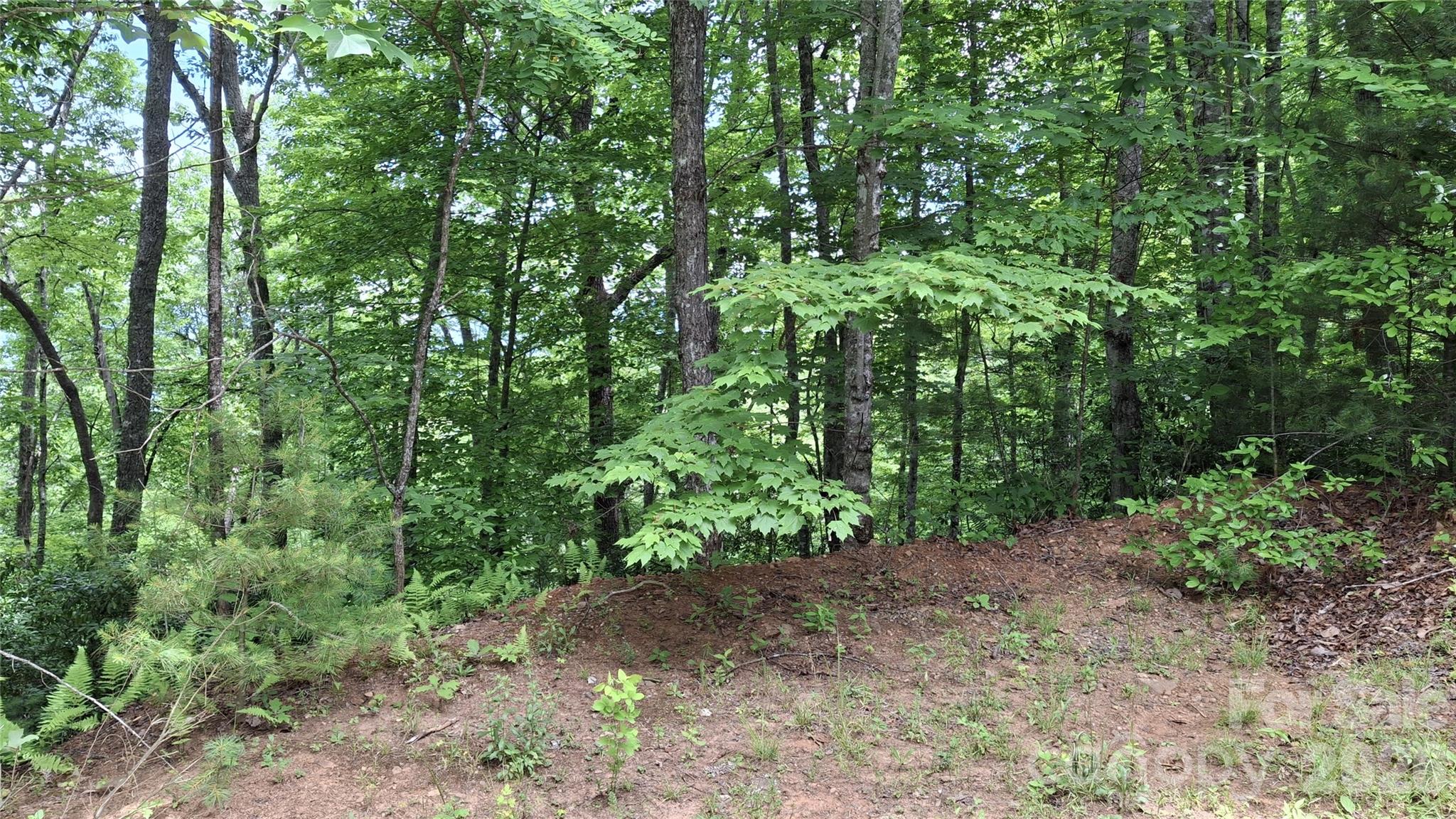 77 Kako Ridge, Unit 57 Sylva, NC 28779 - Photo 6 of 19