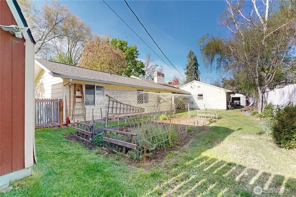 a view of a garden with a large tree