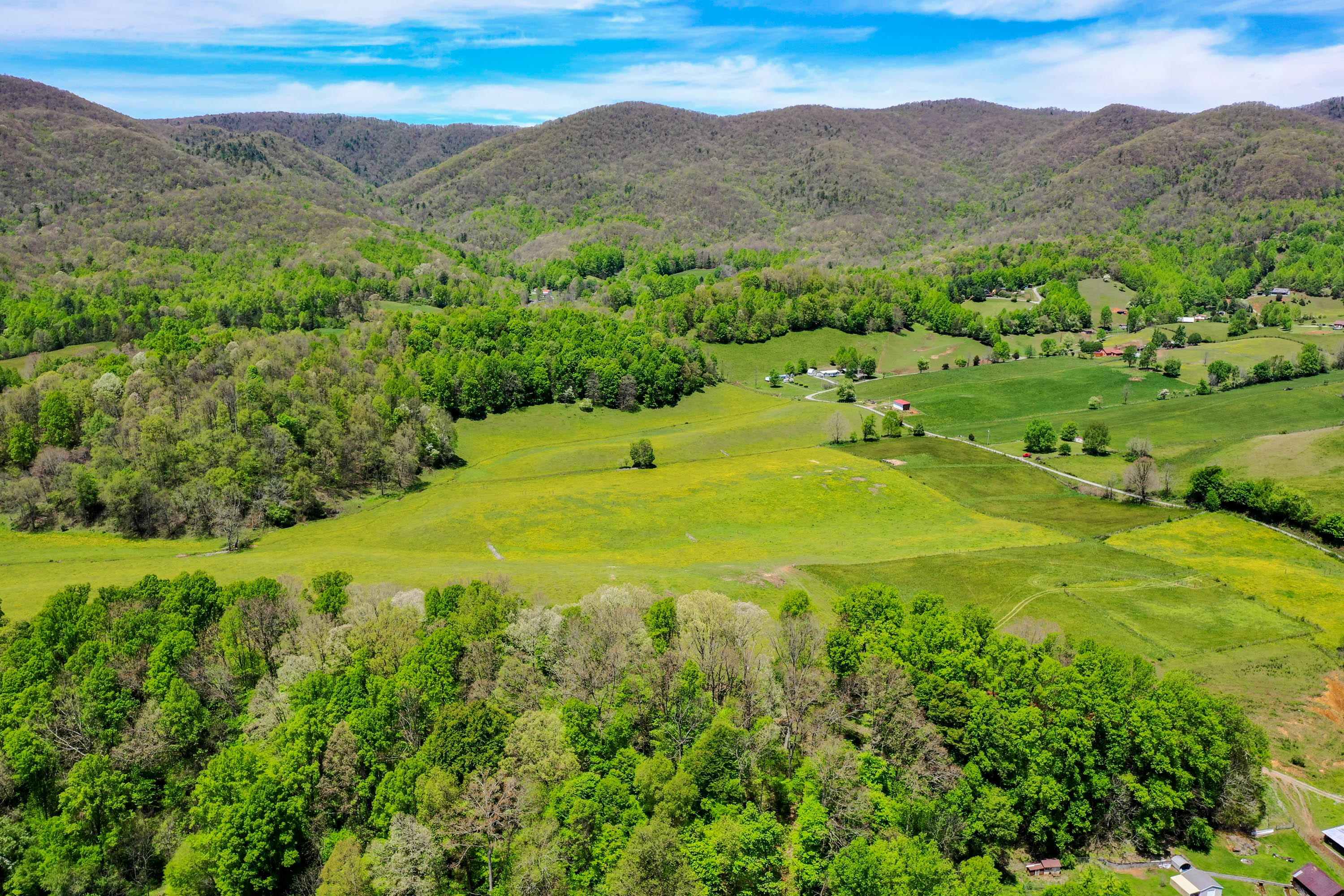 Tbd Cole Hollow Road Elizabethton, TN 37643 - Photo 11 of 57 Cole Hollow Rd-21