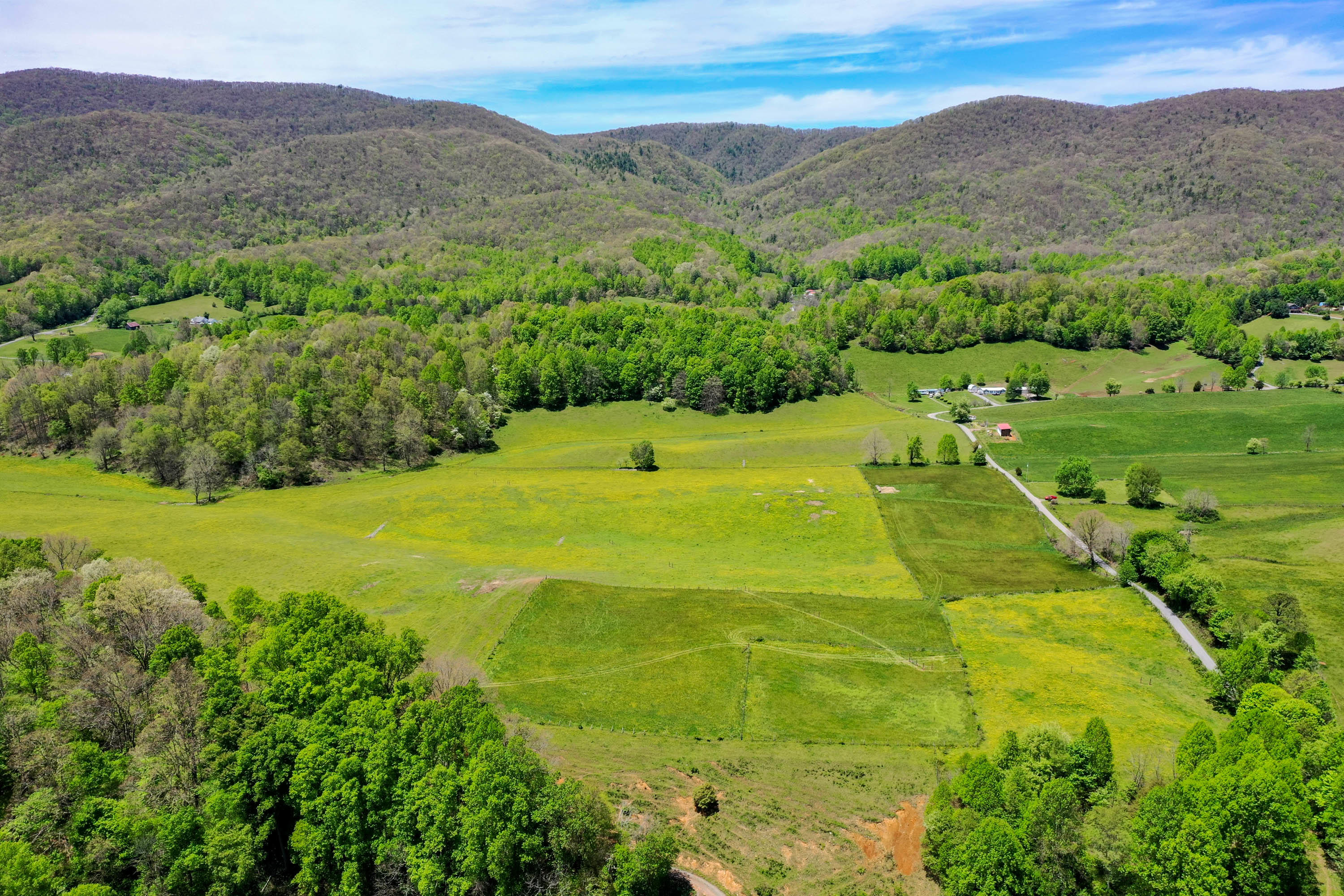 Tbd Cole Hollow Road Elizabethton, TN 37643 - Photo 12 of 57 Cole Hollow Rd-22