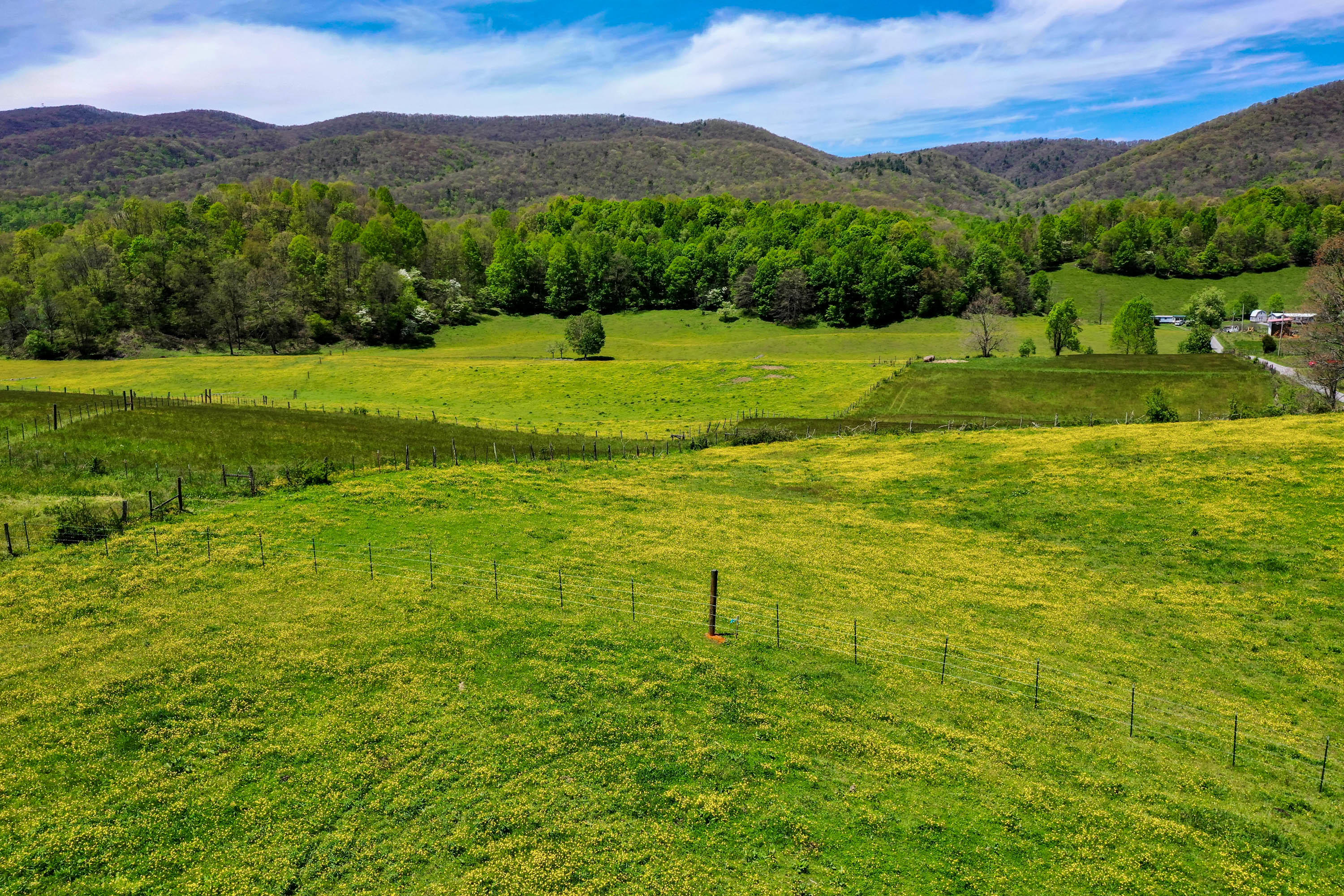 Tbd Cole Hollow Road Elizabethton, TN 37643 - Photo 15 of 57 Cole Hollow Rd-6